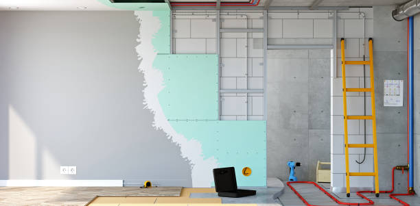 Best Asbestos and Lead Testing During Mold Inspection  in Hartford, MI