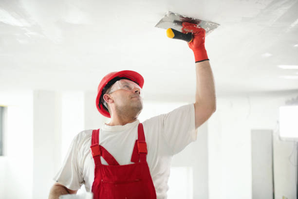 Mold Remediation for Rental Properties in Hartford, MI